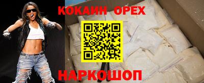шишки Камышлов