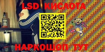 шишки Камышлов