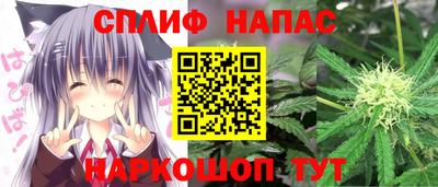 шишки Камышлов