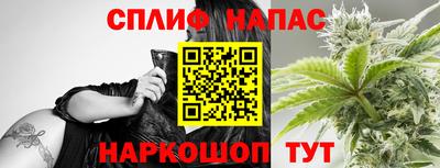 тгк Канаш