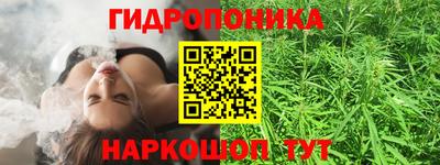 PSILOCYBIN Кандалакша
