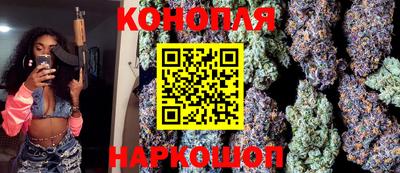 шишки Камышлов
