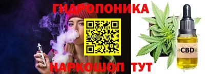 тгк Канаш