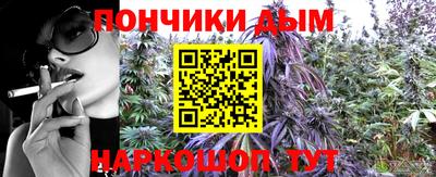 шишки Камышлов