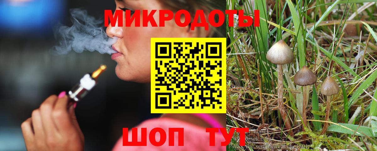 Псилоцибиновые грибы Magic Shrooms  Вход с VPN  Крымск 